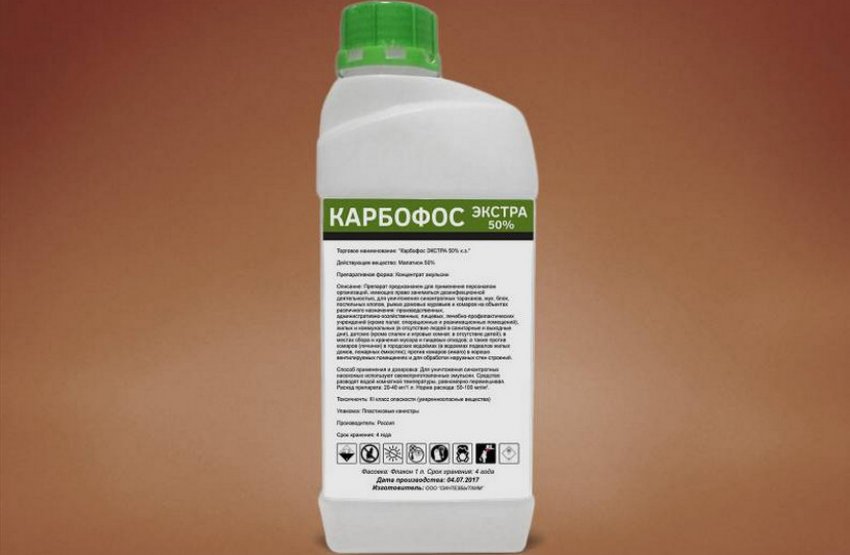 Опрыскивание кустов смородины карбофосом. 111406.pvtejc.850. Опрыскивание кустов смородины карбофосом фото. Опрыскивание кустов смородины карбофосом-111406.pvtejc.850. картинка Опрыскивание кустов смородины карбофосом. картинка 111406.pvtejc.850. Летом сады атакуют тля, клещи, мухи, щитовки и долгоносики. Насекомые способны разрушить корневую систему культур, испортить наземную часть растений, уничтожить побеги, листву, нанести ущерб всходам. Используйте против вредителей Карбофос – препарат, эффективно уничтожающий паразитов.