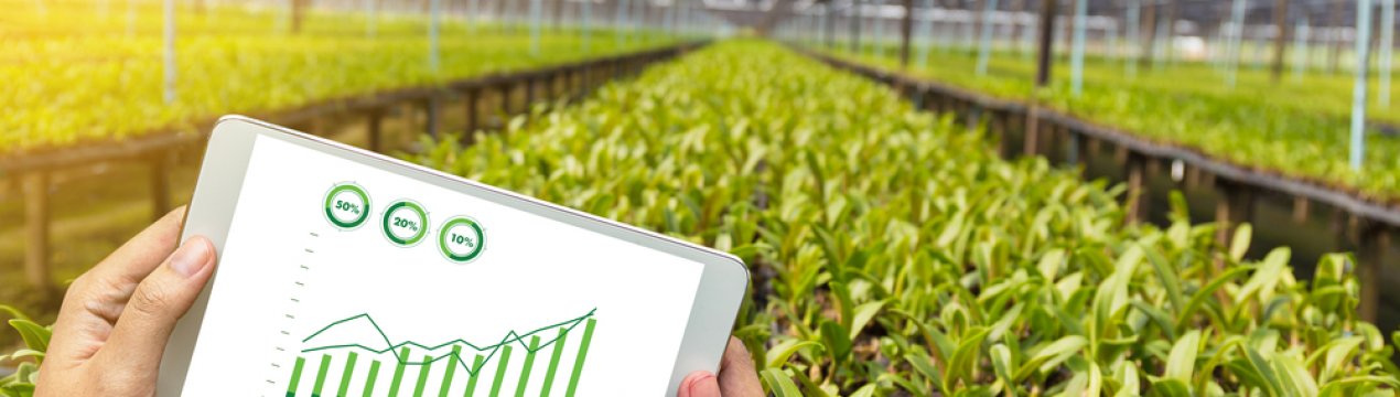 Через 10 років українські фермери зможуть управляти господарством в режимі онлайн