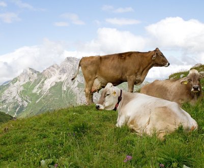 У Баварії вже 10 тисяч органічних ферм