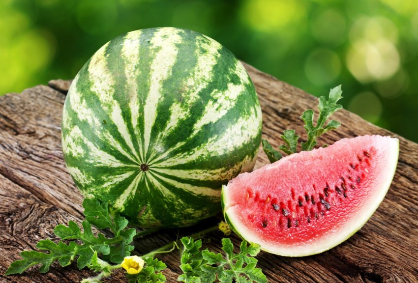 На фестивалі в Голій Пристані будуть шукати «Херсонський кавун»