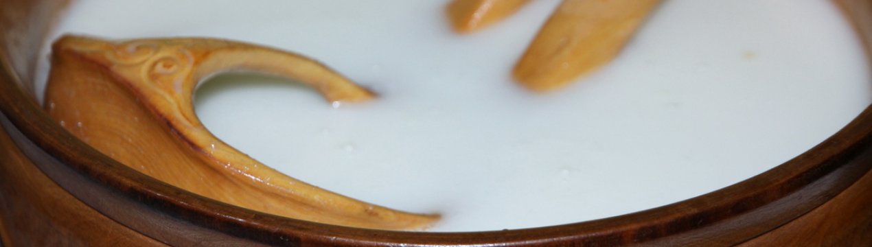 У Казахстані відкривають завод по переробці кобилячого молока