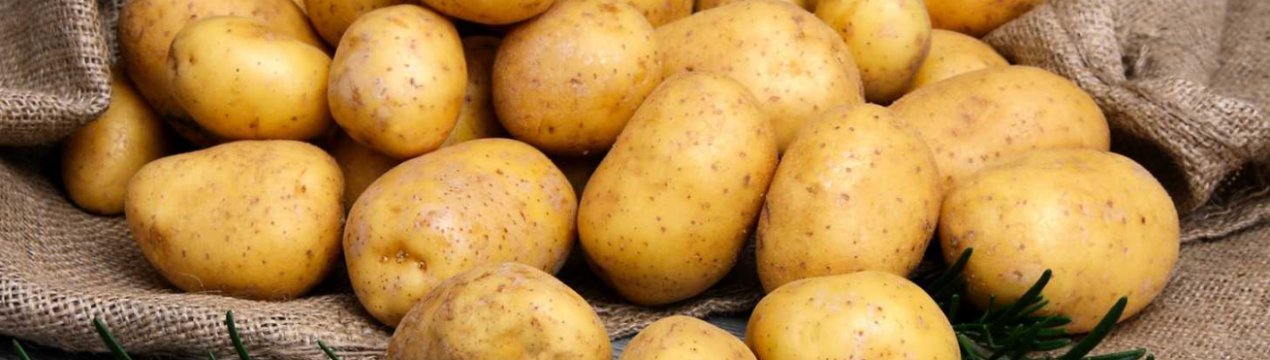 В цьому році картоплі України загрожує дротянка