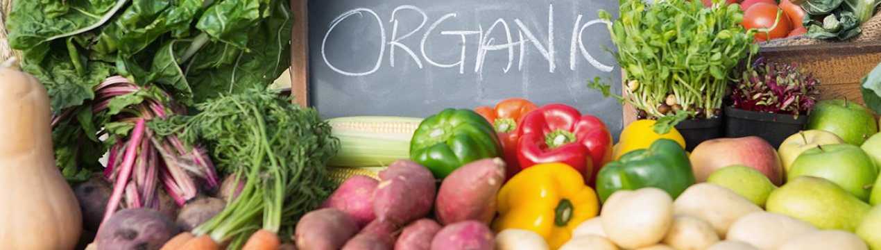 Київський виробник органічної продукції збільшує площі вирощування