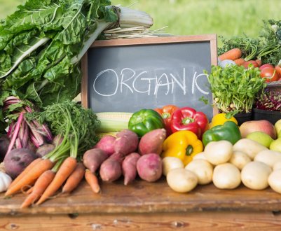 Київський виробник органічної продукції збільшує площі вирощування 