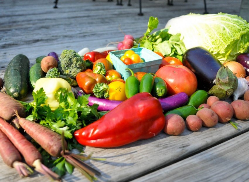 Київський виробник органічної продукції збільшує площі вирощування