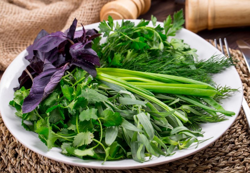 Київський виробник органічної продукції збільшує площі вирощування