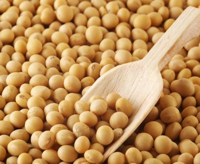 Південна Америка випустить на світовий ринок ще більше соєвої олії