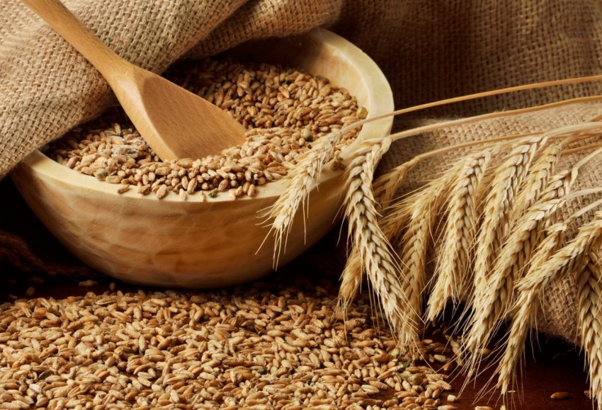 Білорусь обмолотила півтора мільйона гектарів зернових полів