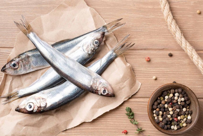 Рибалки Севастополя поставили на ринок близько 16 тисяч тонн кільки, хамси і ставриди Рибалки Севастополя поставили на ринок близько 16 тисяч тонн кільки, хамси і ставриди