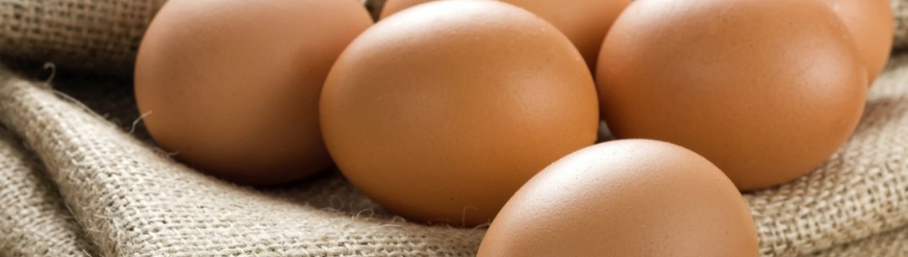 За півроку саратовські кури справили 241 мільйон яєць