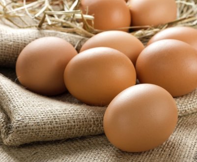 За півроку саратовські кури справили 241 мільйон яєць