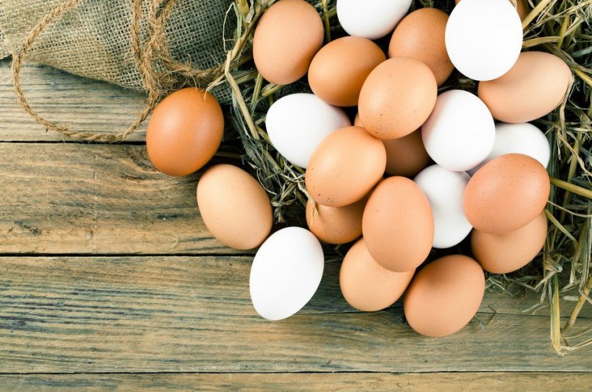 За півроку саратовські кури справили 241 мільйон яєць