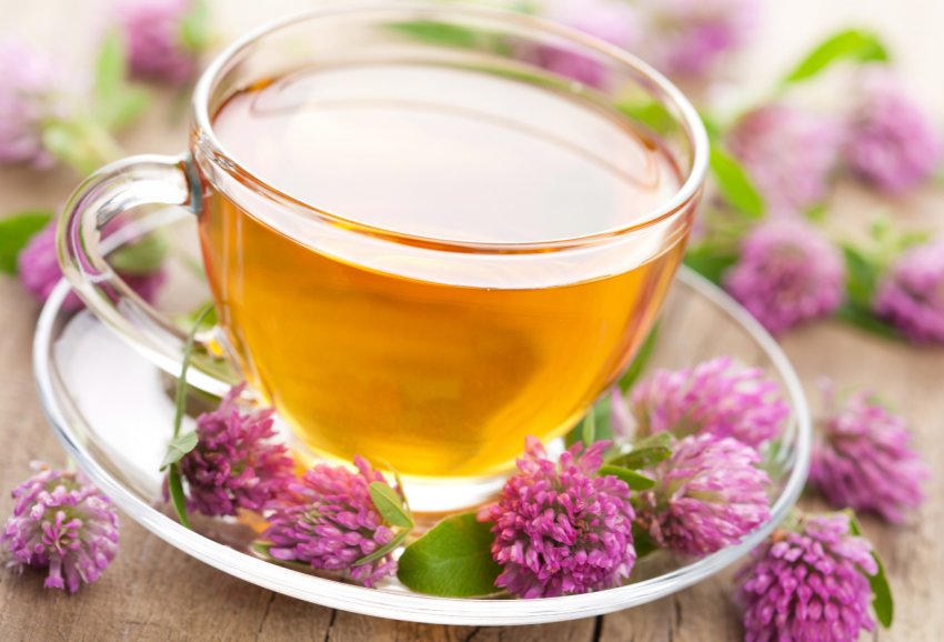 Краснодарські чаеводы привезли з Лондона престижну нагороду