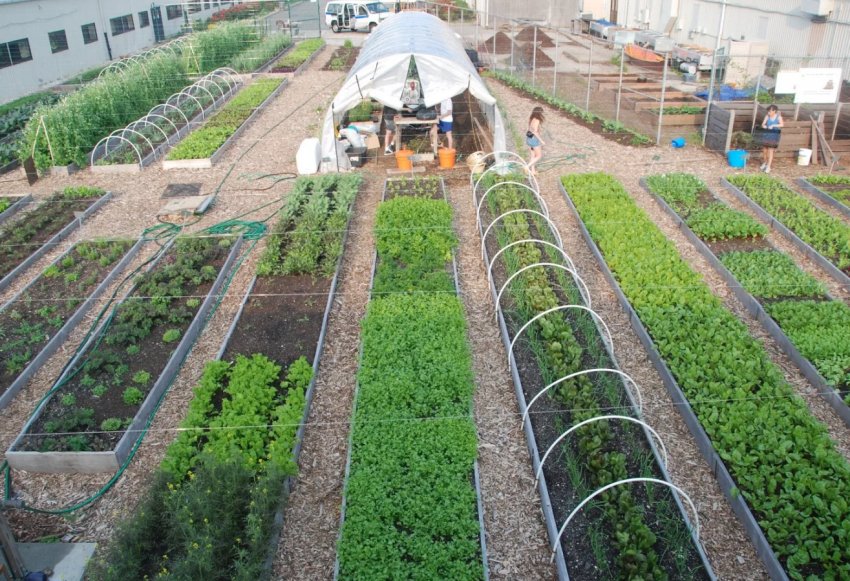 В Баварії вже 10 тисяч органічних ферм