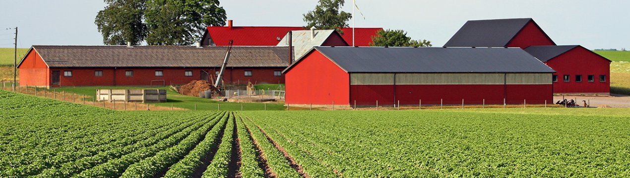 Рейдери захопили відразу 3 підприємства одеського фермера