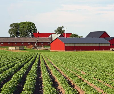 Рейдери захопили відразу 3 підприємства одеського фермера