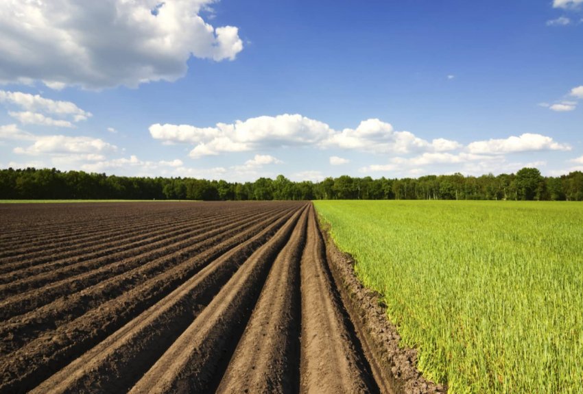 Рейдери захопили відразу 3 підприємства одеського фермера Рейдери захопили відразу 3 підприємства одеського фермера