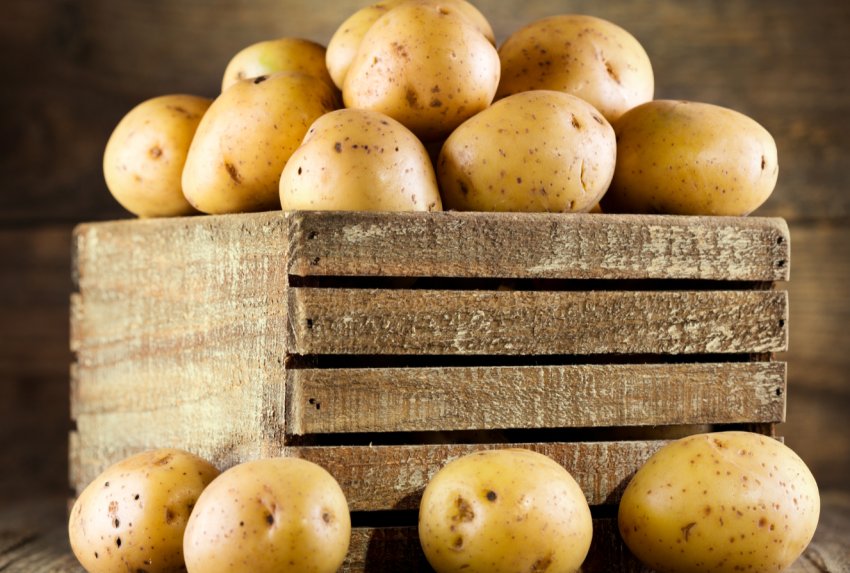 В Україні назріває «картопляний криза»