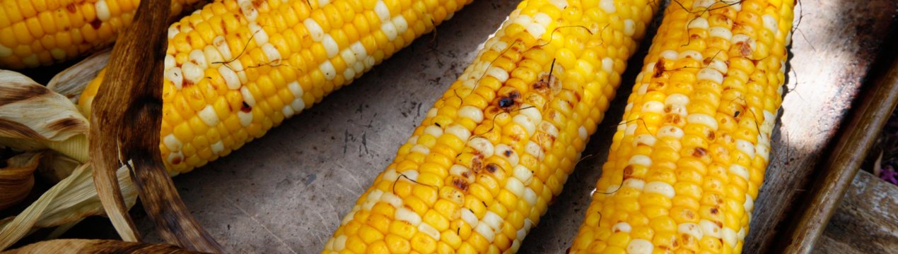 Кукурудза в США ризикує побити антирекорд