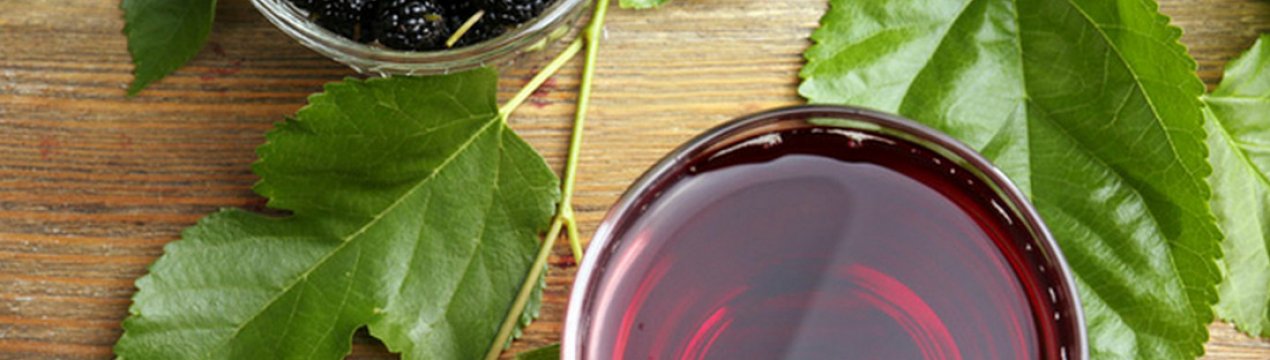 Рецепт наливки з шовковиці в домашніх умовах