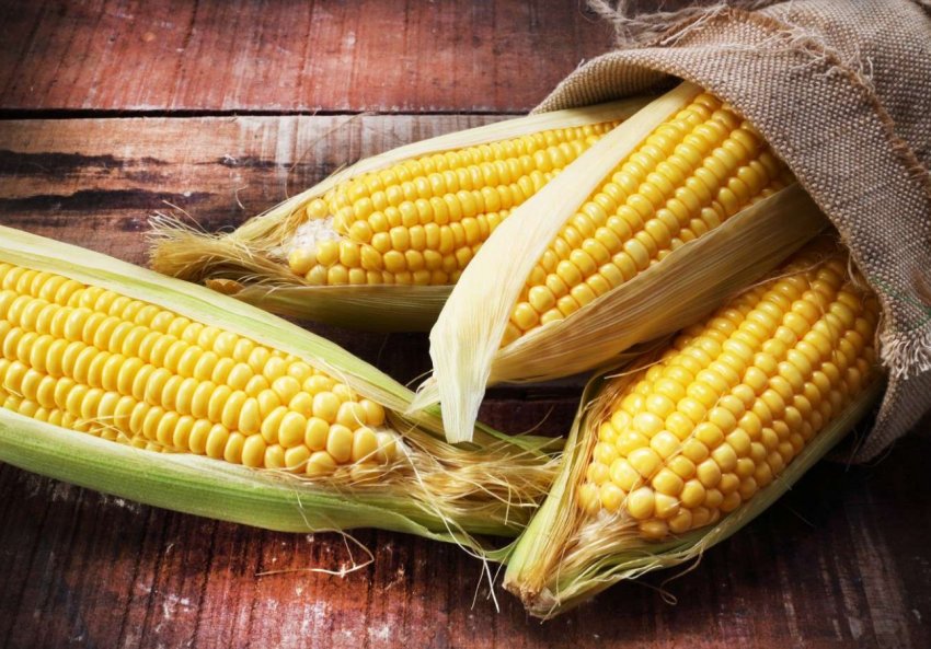 Кукурудза в США ризикує побити антирекорд