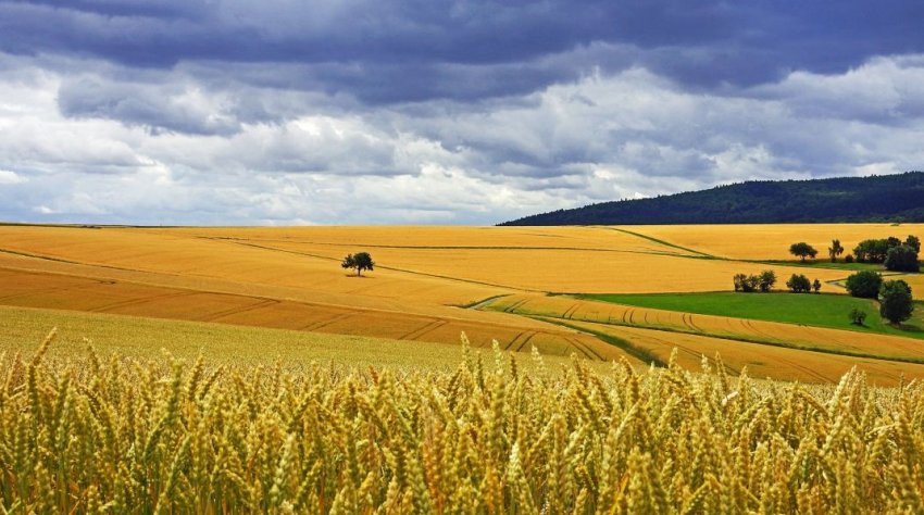 Азербайджан закриває урожайний питання Азербайджан закриває урожайний питання