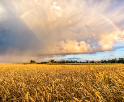 Азербайджан закриває урожайний питання