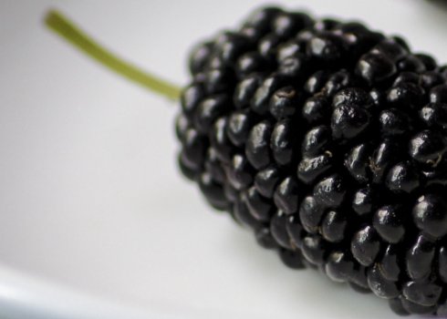 Можна їсти шовковицю при вагітності, користь і шкода