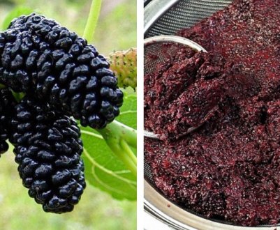 Рецепт браги з шовковиці в домашніх умовах