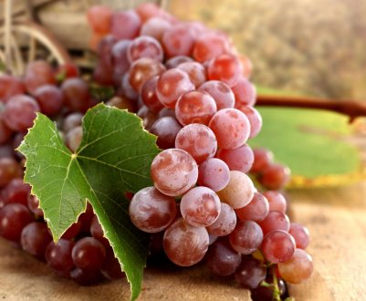 Вінницьку область визнали раєм для виноградарів