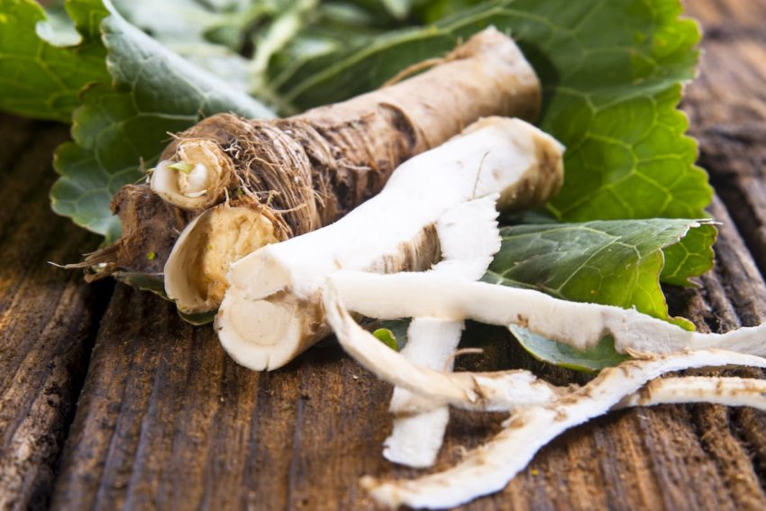 «Паскудний» підприємство зросла з 40 соток до 190 гектарів «Паскудний» підприємство зросла з 40 соток до 190 гектарів