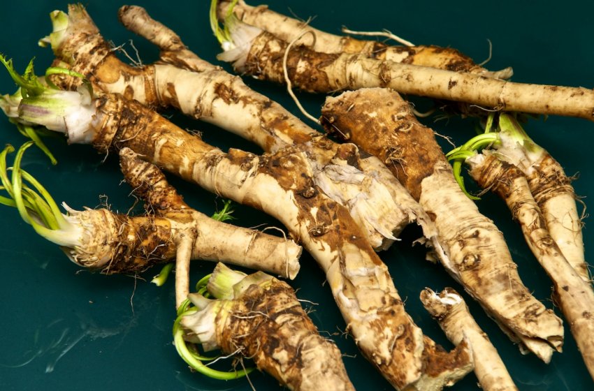 «Паскудний» підприємство зросла з 40 соток до 190 гектарів «Паскудний» підприємство зросла з 40 соток до 190 гектарів