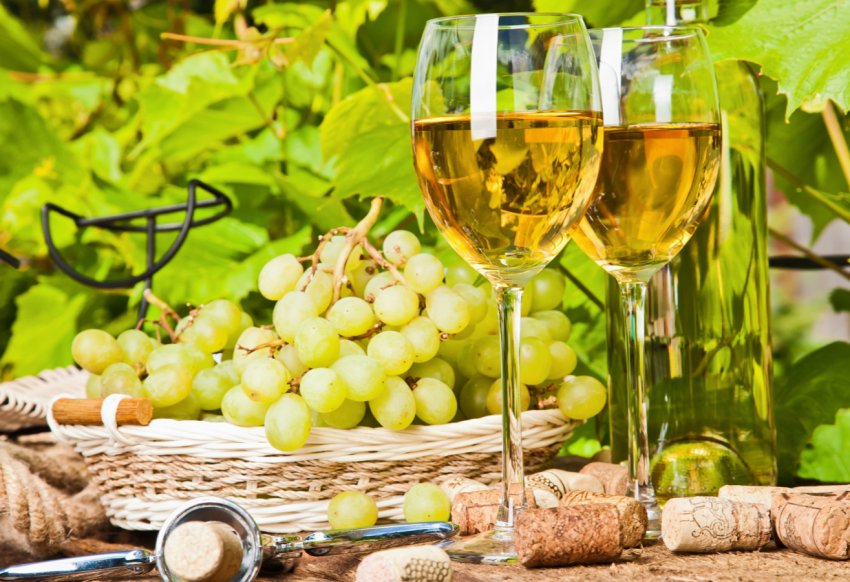 Європейські вина об'єднують в єдиній базі даних Європейські вина об'єднують в єдиній базі даних