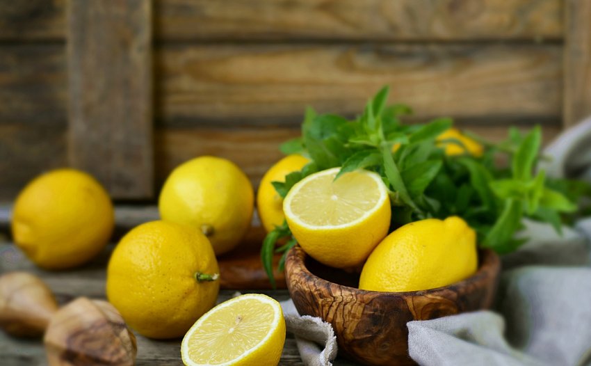 Луганські тепличники переймають у європейських колег досвід «довірчої торгівлі» Луганські тепличники переймають у європейських колег досвід «довірчої торгівлі»