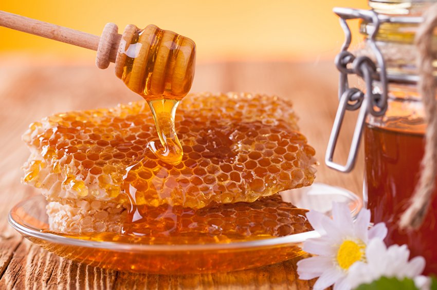 В Україні визначили саму медоносну область