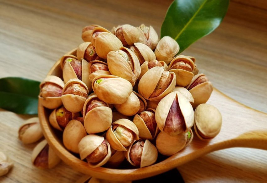 Через п'ять років перша фісташкова гай України почне давати врожай