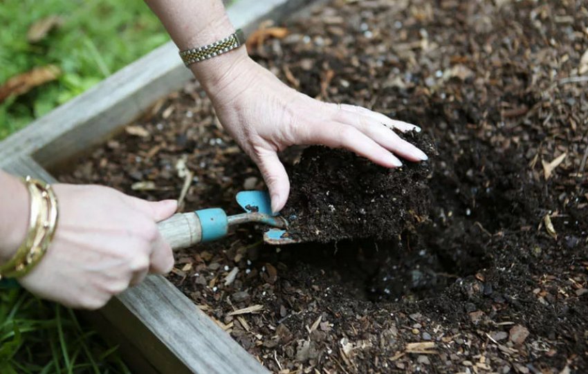 Підготовка ґрунту для посадки Підготовка ґрунту для посадки