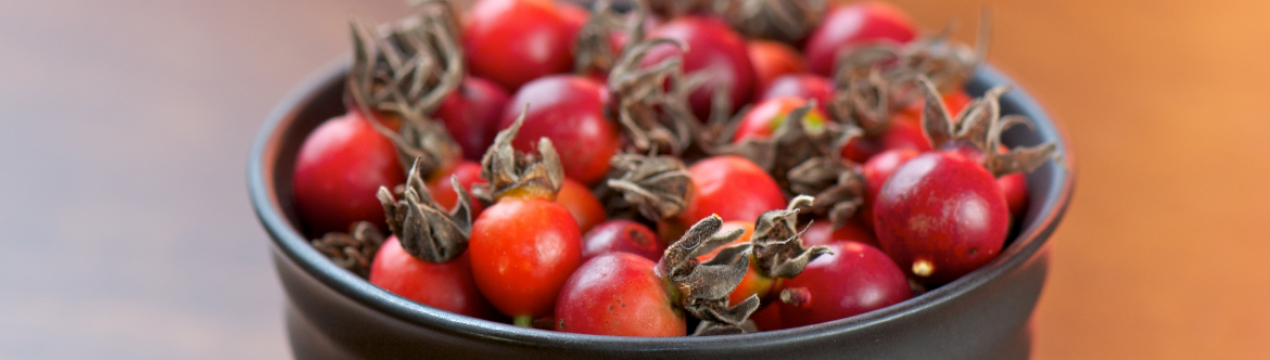 Шипшина для печінки і жовчного міхура