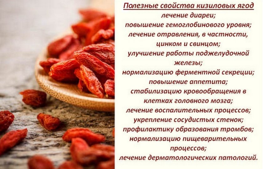 Кизил и барбарис в чем. Смотреть фото Кизил и барбарис в чем. Смотреть картинку Кизил и барбарис в чем. Картинка про Кизил и барбарис в чем. Фото Кизил и барбарис в чем