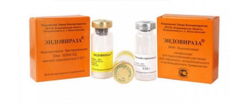 Ендовіраз Ендовіраз