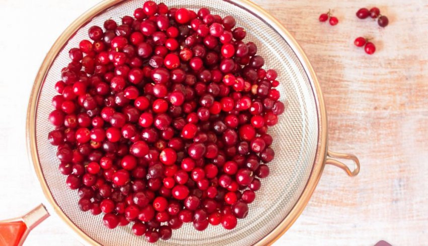 Підготовка брусниці