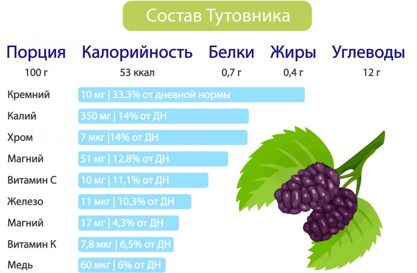 Состав шелковицы