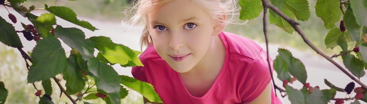 Коли можна давати дитині шовковицю, користь і шкода