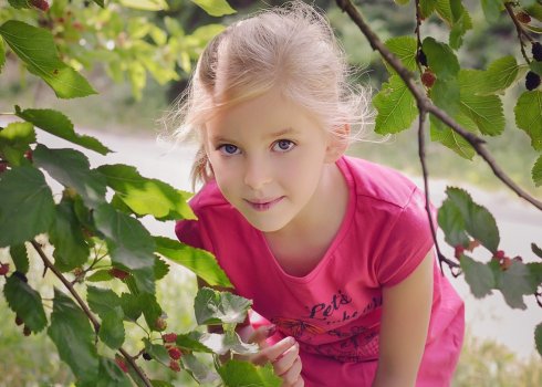 Когда можно давать ребёнку шелковицу, польза и возможный вред