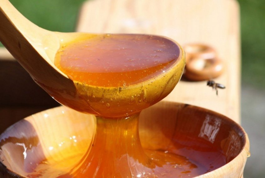 Сьогодні на іванівських просторах стартує медове свято Сьогодні на іванівських просторах стартує медове свято