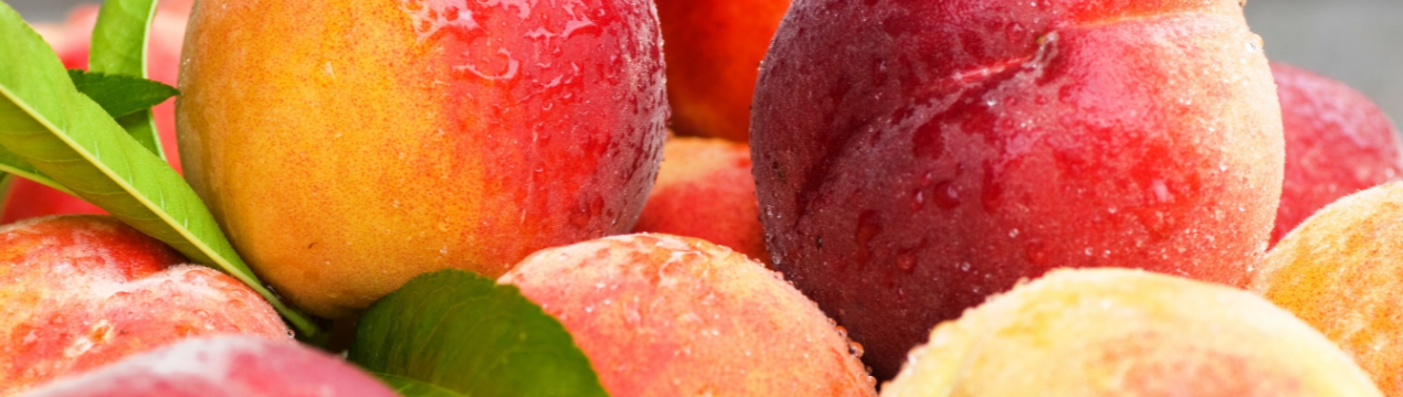 Запорізький садівник пишається полукилограммовым персиком