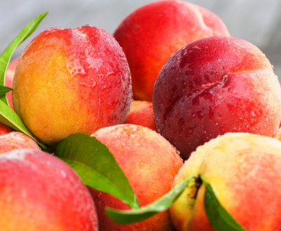 Запорізький садівник пишається полукилограммовым персиком