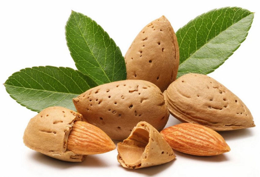 Кісточка мигдалю