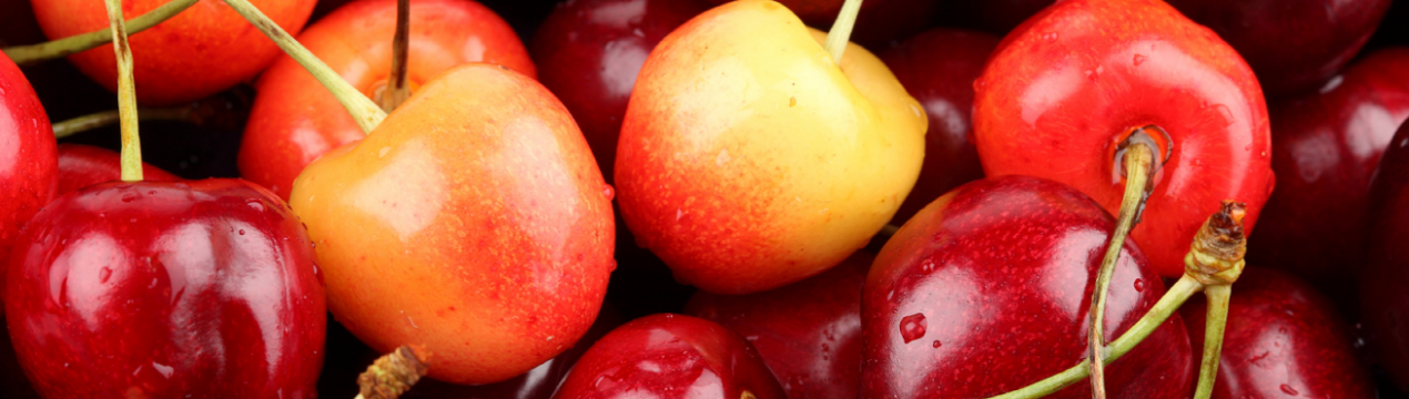 Чилійські садівники засиплють Китай черешнею