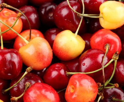 Чилійські садівники засиплють Китай черешнею